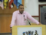 Roninha questiona Prefeitura sobre vazamento de água na Alfredo Schurig