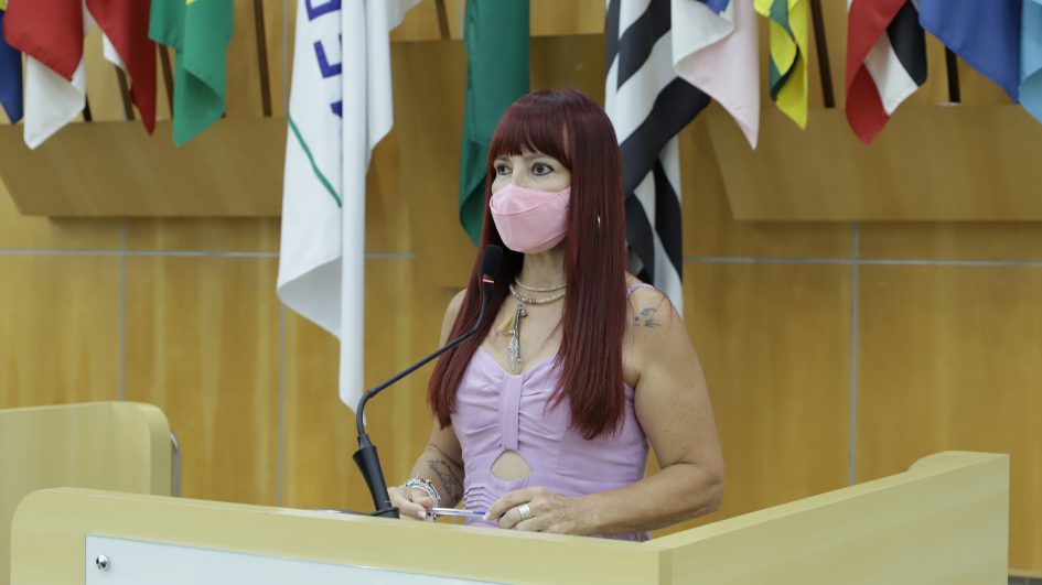 Sônia solicita à Prefeitura arborização na zona central da cidade