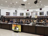 Câmara aprova obrigatoriedade de ficha de atendimento em pet shops de Jacareí