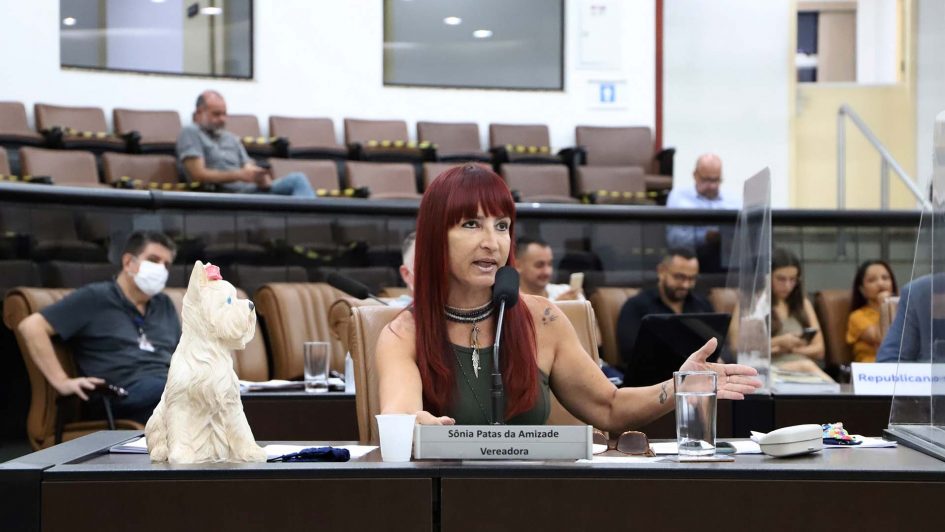 Sônia protocola indicações para serviços de manutenção no Bandeira Branca