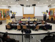 Câmara realiza audiência pública para apresentação da Lei de Diretrizes Orçamentárias de 2023