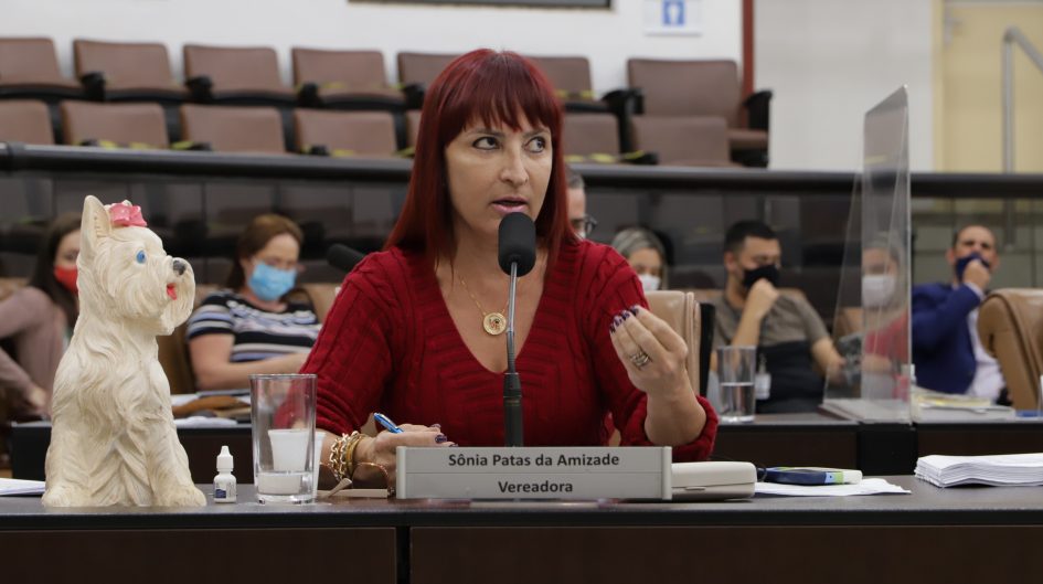 Sônia pede serviços de manutenção em vias do Jardim Vera Lúcia e Santa Maria