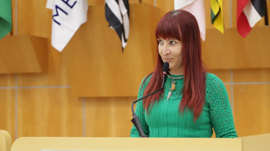 Sônia pede intermediação a deputado para construção de hospital veterinário em Jacareí