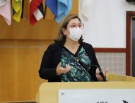 Maria Amélia pede serviços de zeladoria urbana no Santa Maria e Parque dos Sinos