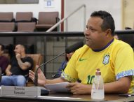 Roninha pede serviços de zeladoria urbana em bairros da região sul