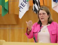 Maria Amélia pede poda de árvore à EDP no Jardim Santa Maria