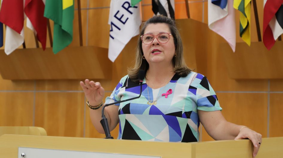 Maria Amélia pede serviços de zeladoria urbana em bairros de Jacareí