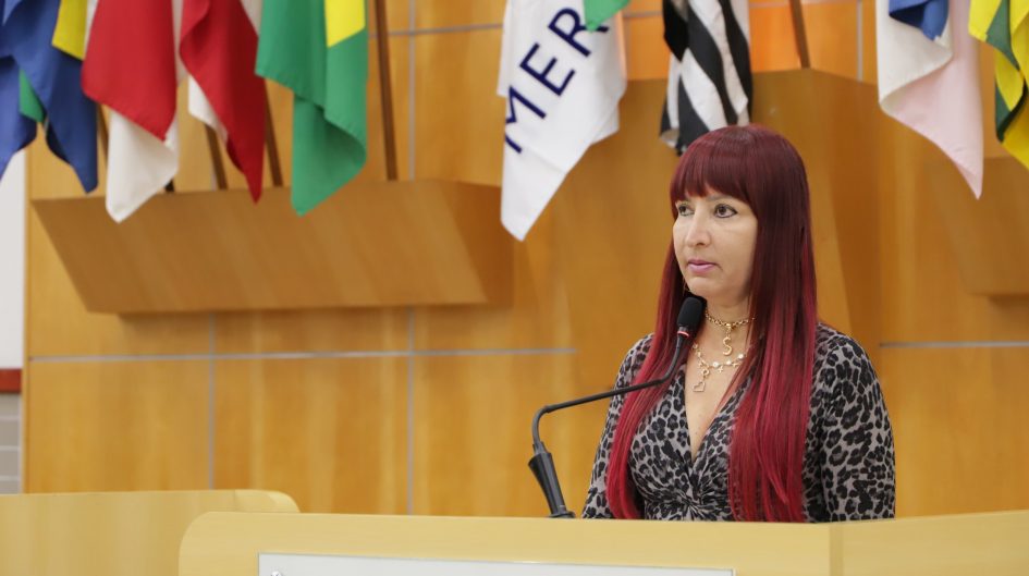 Sônia pede ao governo de São Paulo criação de delegacia de proteção animal em Jacareí