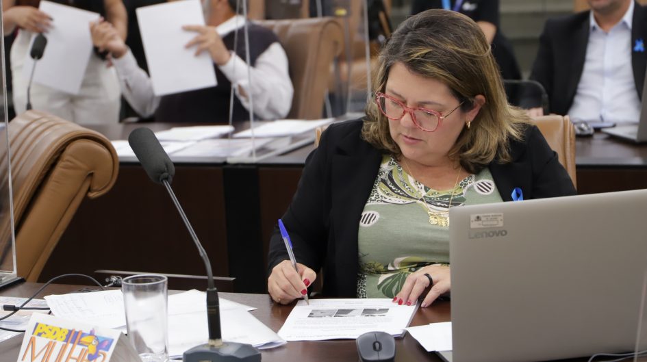 Maria Amélia pede contenção de erosão em valeta na Avenida Malek Assad