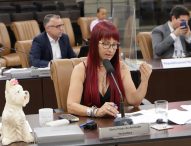 Sônia indica serviços de zeladoria urbana no Centro e região norte