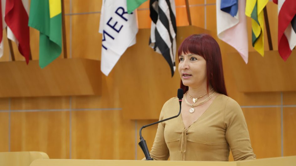 Sônia solicita autorização para entrada de animais de estimação em albergues e abrigos