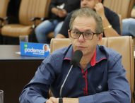 Paulinho do Esporte pede grade de proteção ao DER na Geraldo Scavone