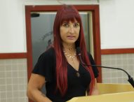 Sônia pede serviços de zeladoria urbana no Jardim Maria Amélia e Vila Pinheiro
