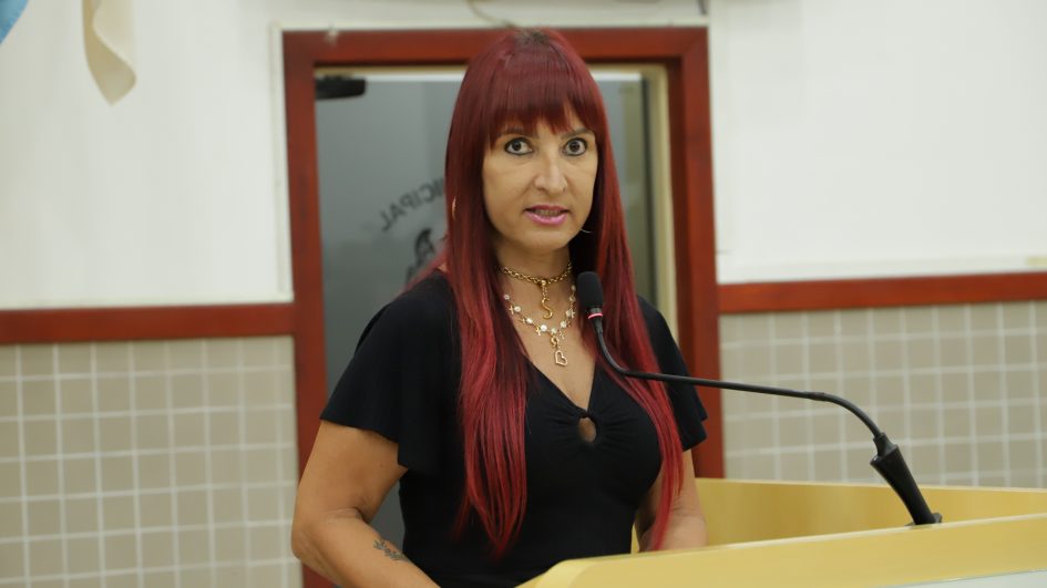 Sônia pede serviços de zeladoria urbana no Jardim Maria Amélia e Vila Pinheiro