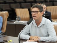 Dudi pede brinquedos de madeira adaptados para crianças com deficiência