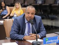 Roninha questiona Prefeitura sobre instalação de câmeras do COI na 3ª Ponte