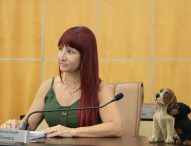 Sônia pede replantio de árvores no Centro, Flórida, Parque Meia Lua e Santa Maria
