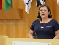 Maria Amélia pede serviços de zeladoria urbana na Avenida Adhemar de Barros