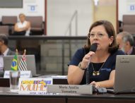 Maria Amélia pede serviços de zeladoria urbana no Jardim Santa Marina