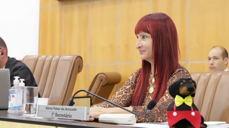 Sônia questiona Prefeitura sobre trabalho com equinos abandonados em Jacareí