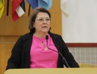 Maria Amélia indica serviços de manutenção na Estrada da Angola de Baixo
