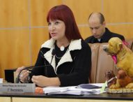 Sônia pede serviços de infraestrutura urbana no Pagador Andrade e Jardim Didinha