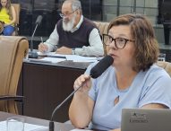 Maria Amélia pede cercamento de áreas em torno de obras na Nilo Máximo