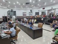 Câmara aprova alterações para plantio, poda e substituição de árvores em Jacareí