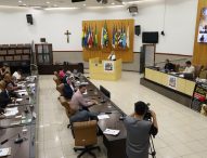 Câmara Municipal aprova obrigatoriedade a maternidades realizarem treinamentos sobre engasgamento
