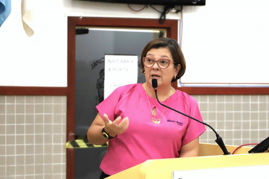 Maria Amélia pede melhorias viárias na Vila Formosa e Jardim Santa Maria