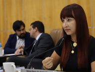 Sônia questiona atraso na realização da campanha de vacinação de cães e gatos