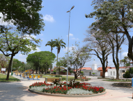 Câmara sedia audiência sobre o Plano Municipal de Arborização Urbana