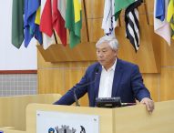 Edgard Sasaki pede adequação de árvores à EDP no Parque Santo Antônio