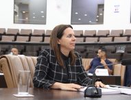 Juliana da Fênix indica manutenção de sinalização viária na Vila São João