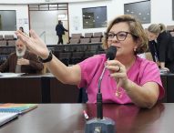 Maria Amélia cobra criação de linha de ônibus exclusiva para o Parque dos Sinos