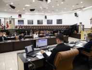 Câmara altera lei e garante 10% das vagas do Qualifica Jacareí a mulheres vítimas de violência doméstica