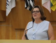 Maria Amélia cobra instalação de faixa de pedestres na Euryale de Jesus Zerbini