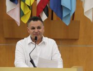 Netho Alves solicita poda de árvore localizada em frente ao Corpo de Bombeiros