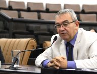 Marcelo Dantas requer poda urgente de árvore no Jardim das Indústrias