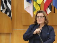 Maria Amélia pede serviços de zeladoria urbana em bairros de Jacareí