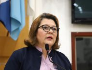 Maria Amélia requer inspeção no sistema de proteção de rede elétrica do Jardim Santa Maria