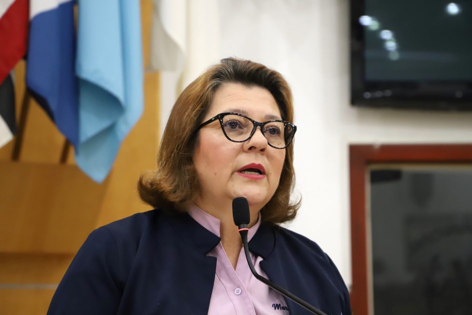 Maria Amélia requer inspeção no sistema de proteção de rede elétrica do Jardim Santa Maria