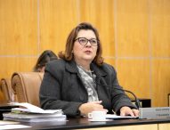 Maria Amélia sugere parceria entre Prefeitura e EDP para resolver problema de fios soltos no município