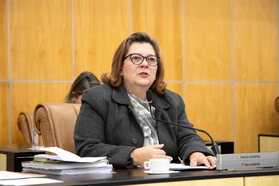 Maria Amélia sugere parceria entre Prefeitura e EDP para resolver problema de fios soltos no município