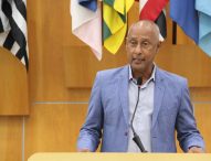 Paulinho dos Condutores alerta prefeitura sobre árvores em condição de risco dentro de escola