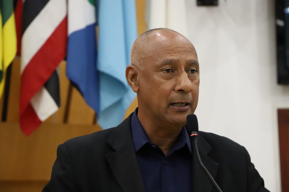 Paulinho dos Condutores pede retirada de tronco de árvore no Parque dos Sinos
