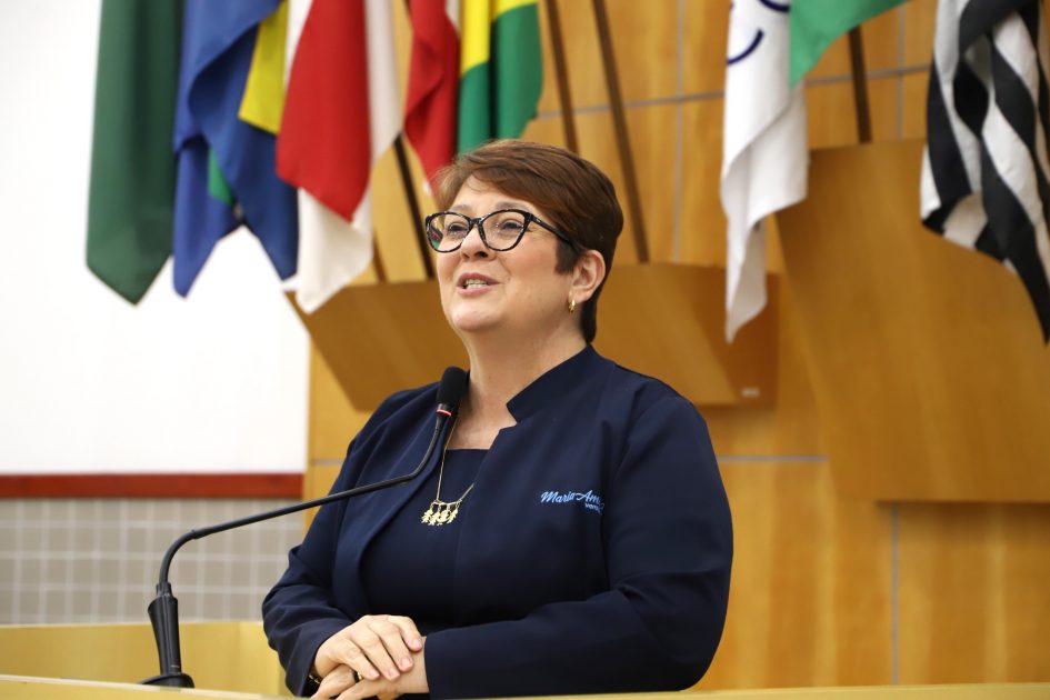 Maria Amélia aciona Prefeitura para ‘fumacê’ em cemitérios
