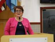 Maria Amélia cobra manutenção à EDP sobre panes no Santa Maria