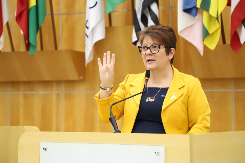 Maria Amélia pede organização na distribuição de senhas da Farmácia de Alto Custo