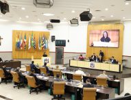 Câmara aprova direito de escolha à família sobre modo de sepultamento de natimorto